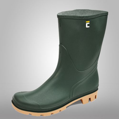 HOLÍNKA ZELENÁ NÍZKÁ